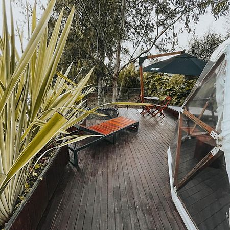 Domus Glamping Guatape Hotel ภายนอก รูปภาพ